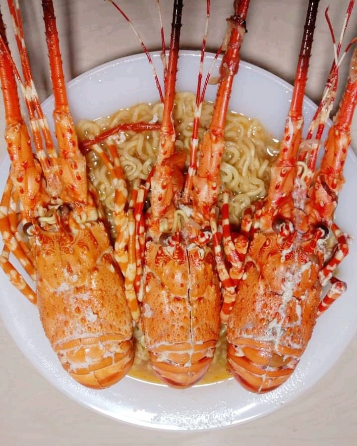 MDellcore's tweet photo. @redlobster Aceh https://t.co/taDygzKlvB