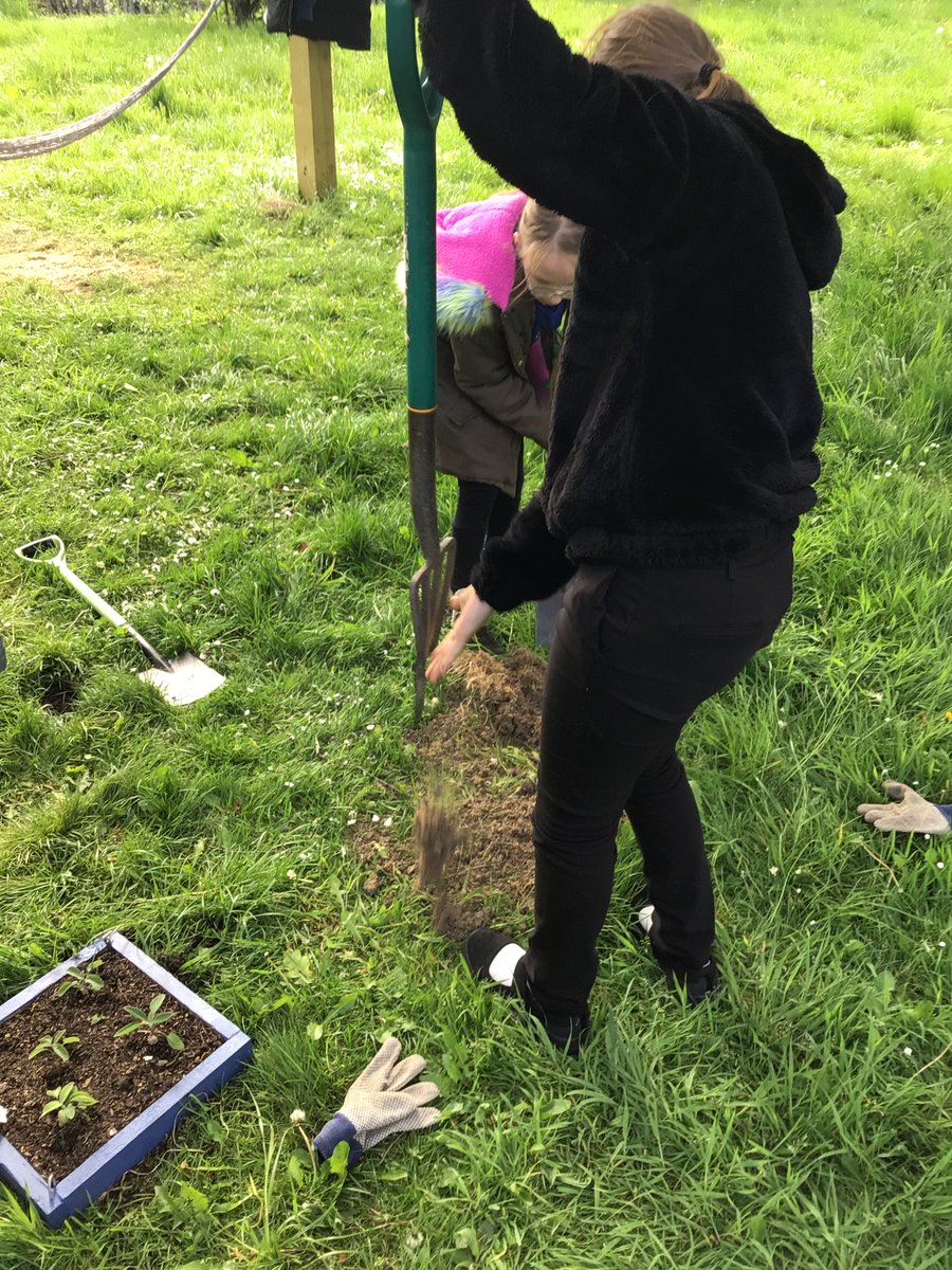 Cotmanhay Juniors tweet media