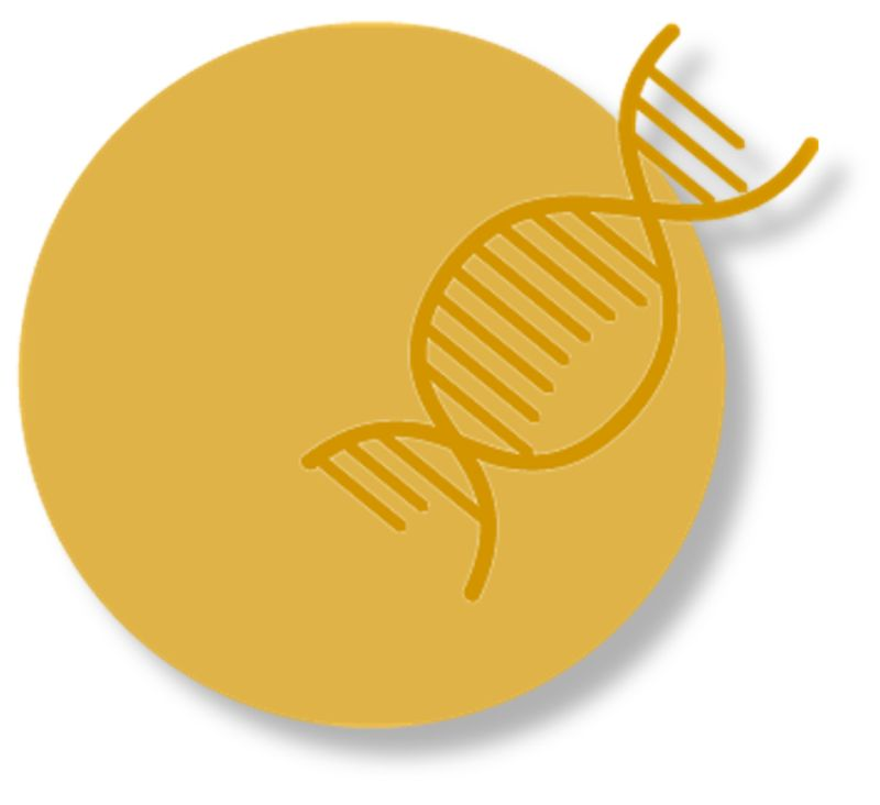 JorgeMSFaria1's tweet photo. Join us for the 2nd Edition of the "MultiOmics for beginners: Exploring big data" summer course. If you want more info, please check:

https://t.co/JdjtWqo4z6

#omics #metabolomics #genomics #proteomics #transciptomics #bigdata #summerschool #plants #microbiome https://t.co/uJdcy6RNuv