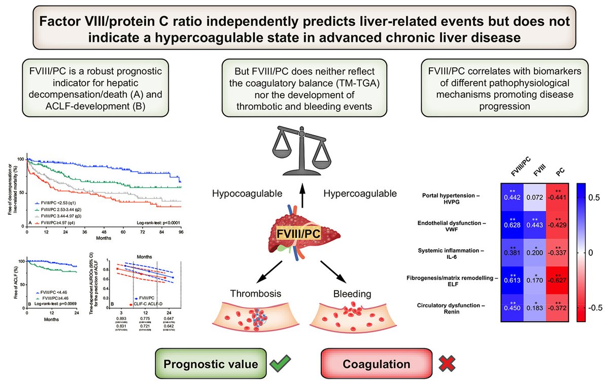 JHepatology's tweet photo. Ratio of #FactorVIII & #proteinC
➡️predicts liver-related events in #cirrhosis
➡️does not indicate a hypercoagulable state
🔓#OpenAcces at👉https://t.co/CIHEzfLgbC
@MattiasMandorf1
#LiverTwitter https://t.co/hplIz5WBD6