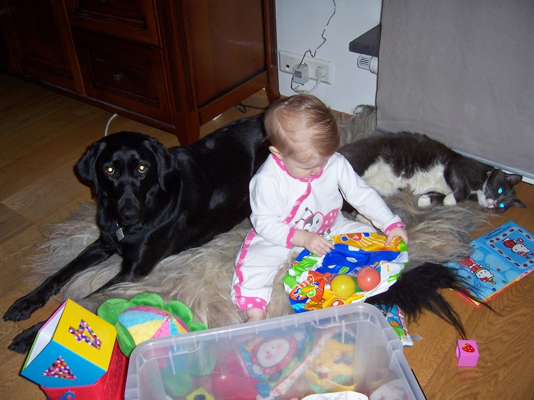 Rökkva 4.7.2009-11.5.2022.
Hvíl í friði elsku besta og takk fyrir allt 💔