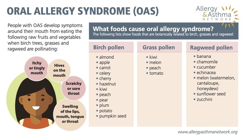 Oral allergy syndrome happens when people with pollen allergies develop allergy symptoms around the mouth after eating raw fruits/vegetables. Symptoms may worsen during pollen season since some foods are botanically related to what is pollinating. allergyasthmanetwork.org/health-a-z/ora…
#FAAW