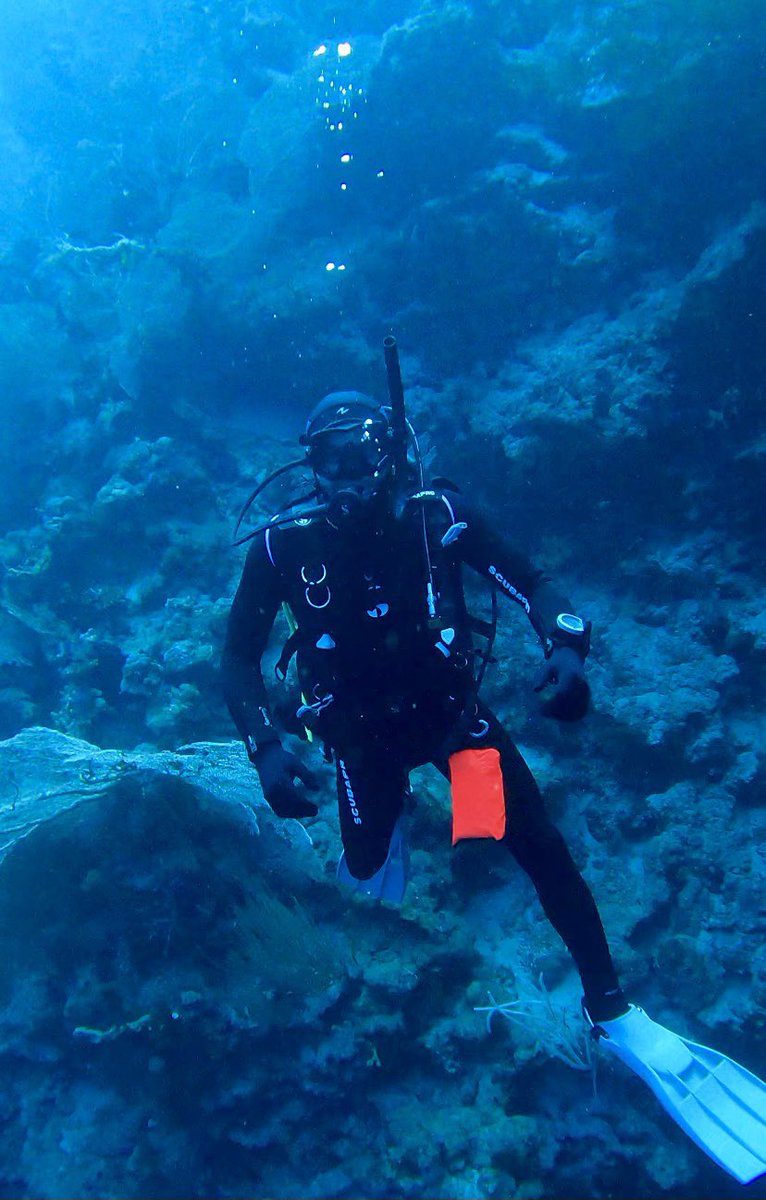 Shrimpishy's tweet photo. Gear up
Suit up
Dive ..
#padi #underwater #scubadiving #winterdive #egypt #RedSea https://t.co/LG6CfS1Fc9
