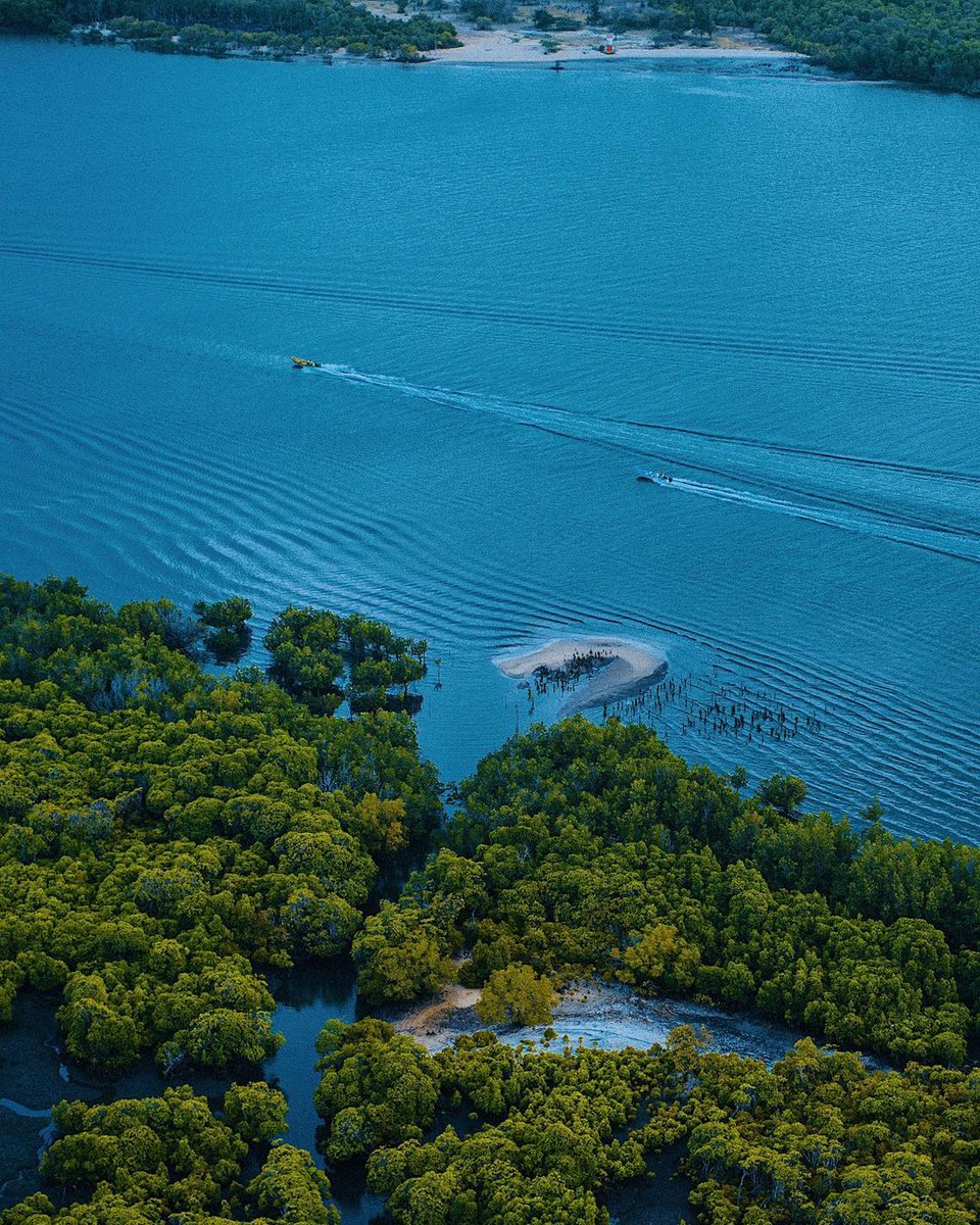 Bu gönderi, yeşile ve maviye doymak isteyenler için geliyor. Bugünkü destinasyonumuz, Afrika'nın en popüler yerlerinden biri olan Kenya😍🌊🌳

Cr: truthslinger