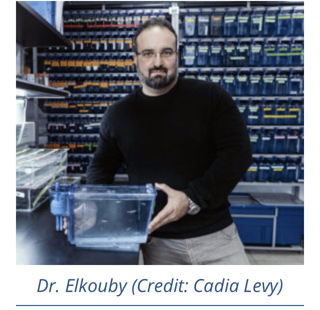 HebrewU's tweet photo. @YanivElkouby’s groundbreaking research on zebra fish could improve human infertility. More at @ScienceMagazine’s
https://t.co/s8XHxIslBD…
#cilia #meiosis #germ_cell #development #reproduction #zebrafish https://t.co/YzsC8YOO9O