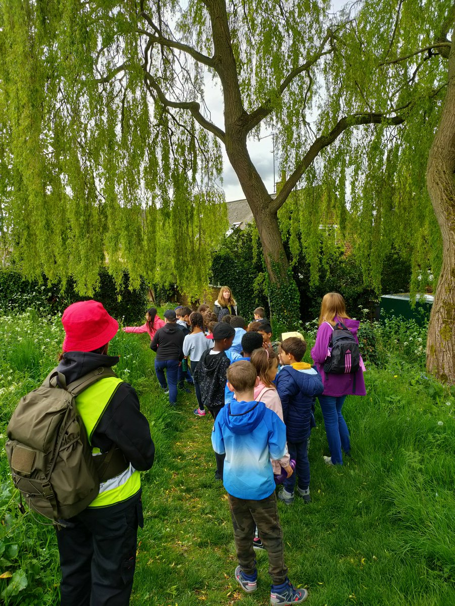 MrsLBrowne tweet media