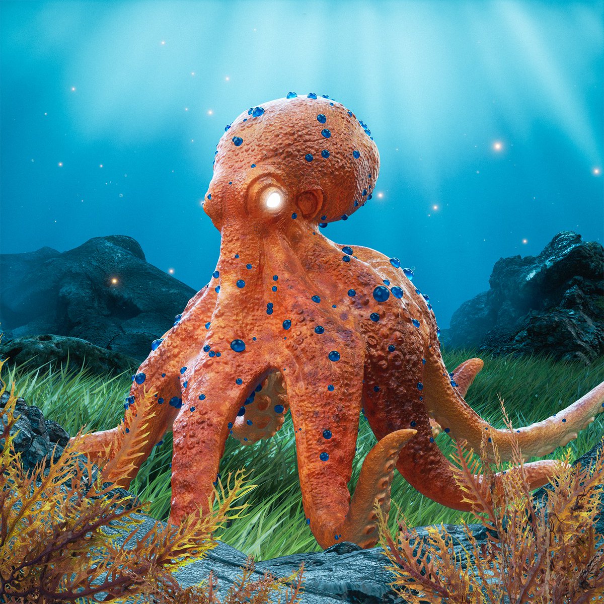 Octopus #32 was just bought 🙌 Congrats to the new owner!

For JUST 0.65 SOL ($33.07) 💰

The Sea Floor is Rising!
solscan.io/token/HuJL4H14…