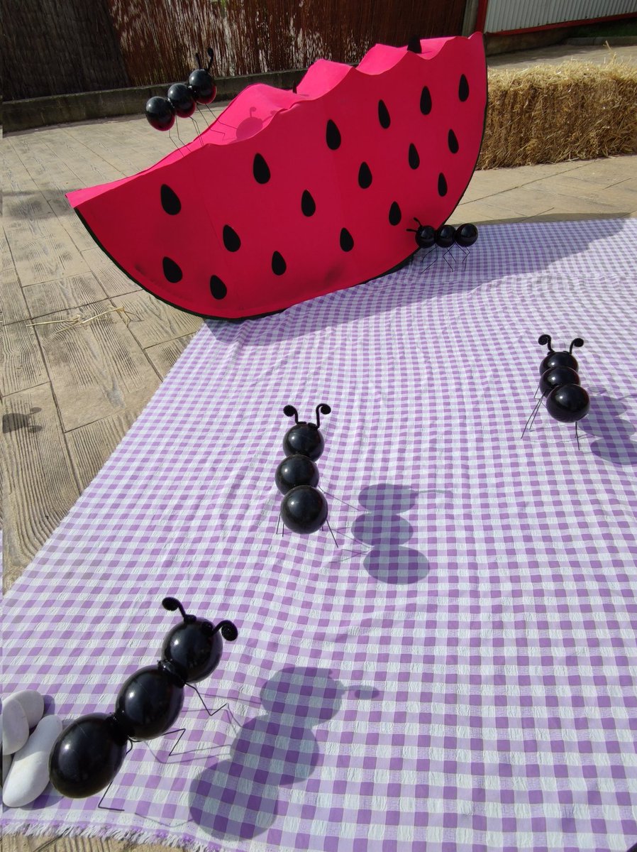 Ajuntament de Sils tweet media