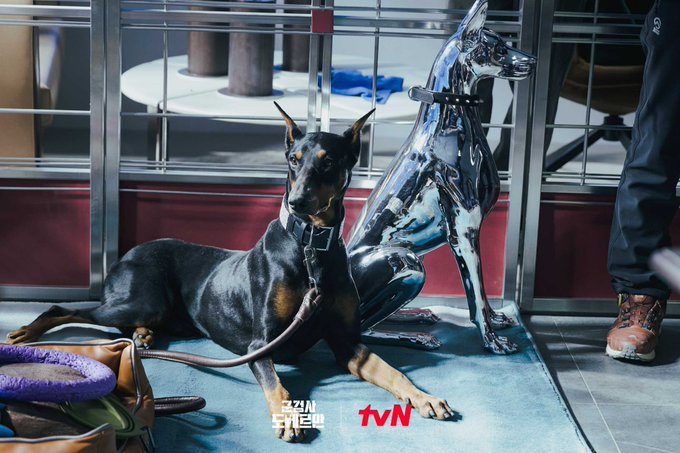 賢い 高画質 のtwitterイラスト検索結果