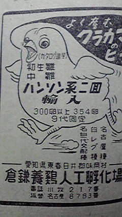 倉鎌のひよこ、これはばけもんでしょ 