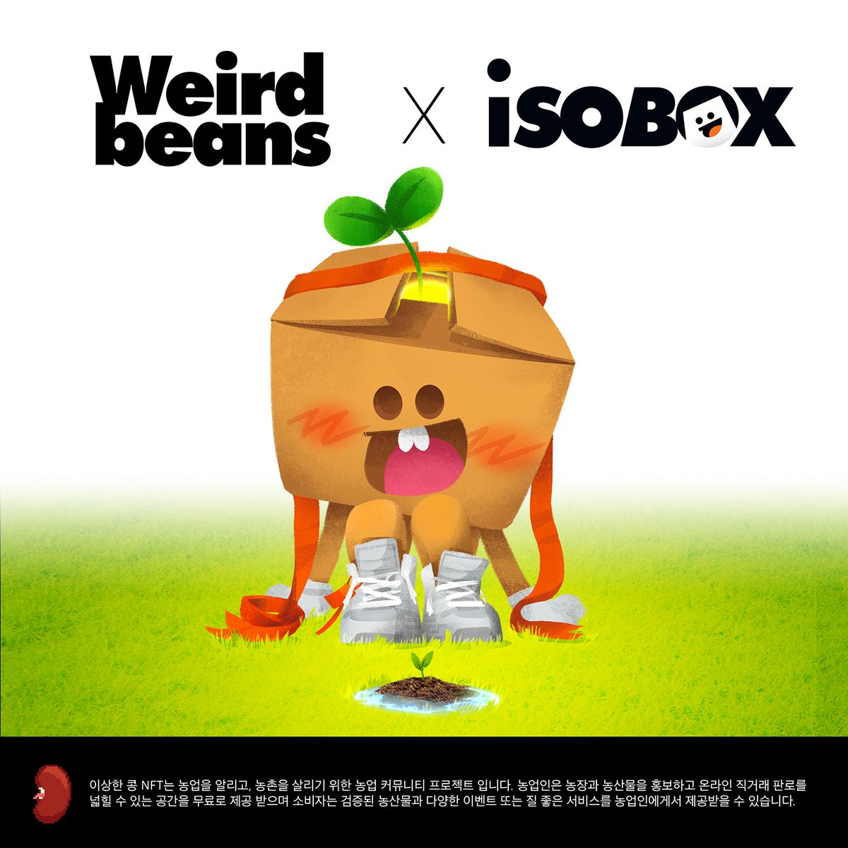 Weird beans tweet media