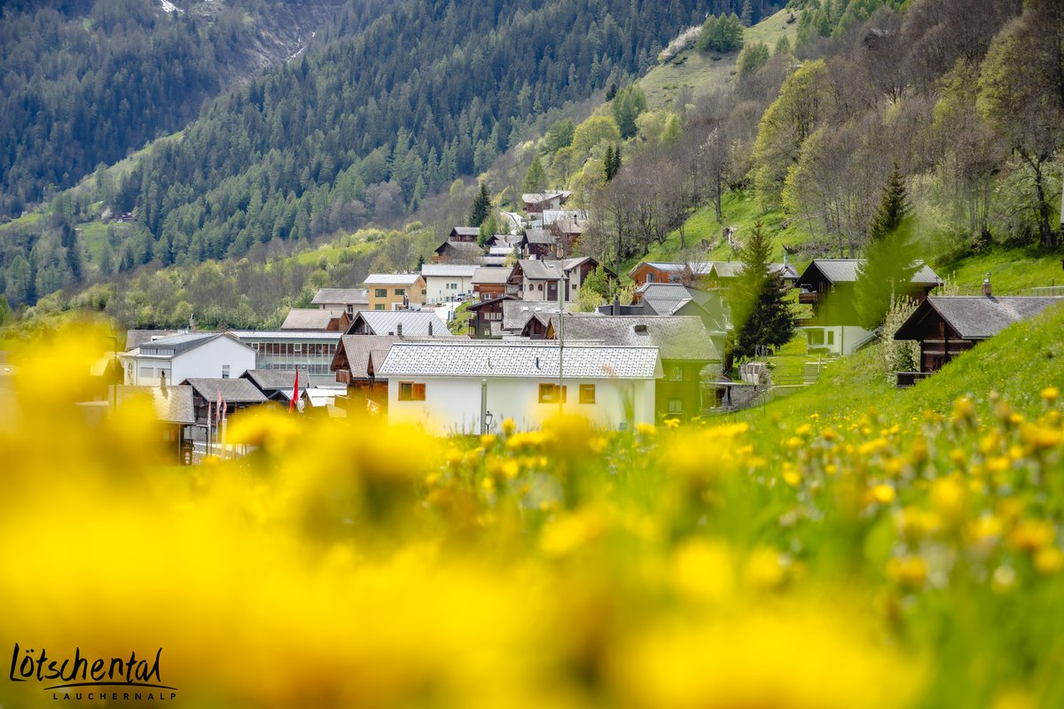 Lötschental tweet media