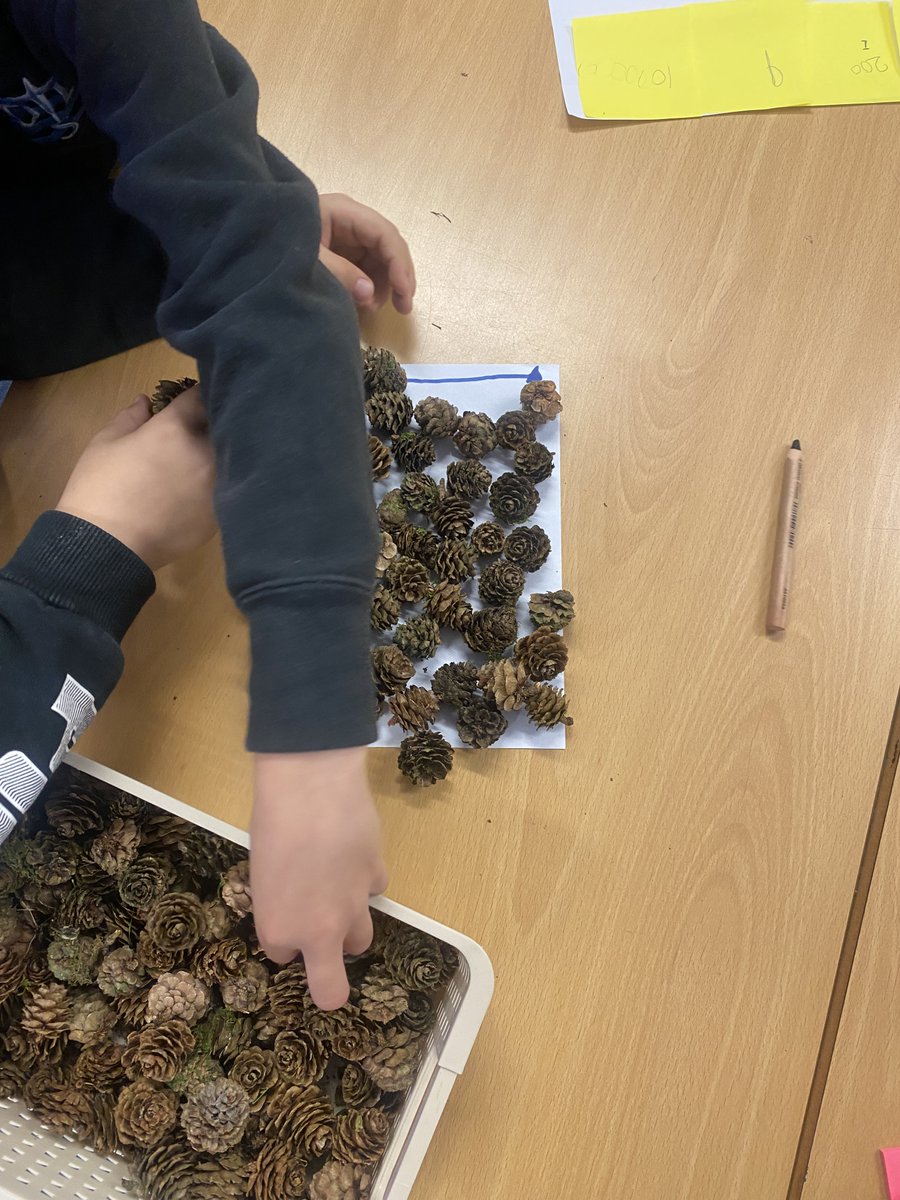 wlourladysps's tweet photo. Primary 1/2 enjoying learning and exploring area using non standard units of measurement. #wlnumeracy #playistheway https://t.co/uUWP1TJd13