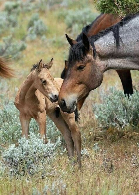 JulieParker144's tweet photo. Lets don't let nature die. We must protect life on earth. #ClimateCrisis #time2care https://t.co/erN89pIwKj