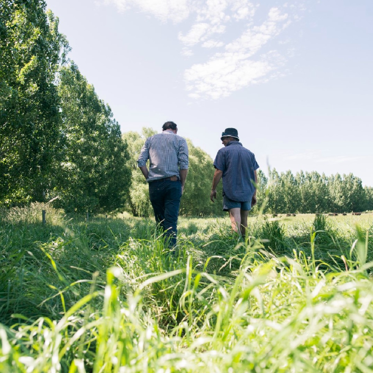 Gallagher Animal Management Australia tweet media