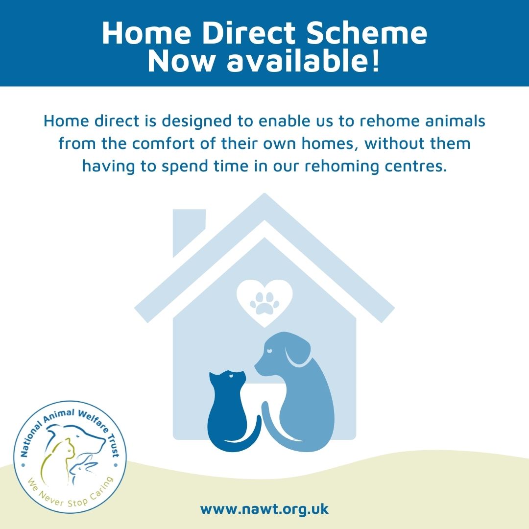 NAWT_updates's tweet photo. Did you know we have recently launched our Home Direct Scheme?
You can read all the details on our recent blog post here: https://t.co/3PuObebcNR
#nationalanimalwelfaretrust #rehoming #animalcharity #homedirect #pets #givingupyourpet #wecanhelp https://t.co/NUPtBH4cBA