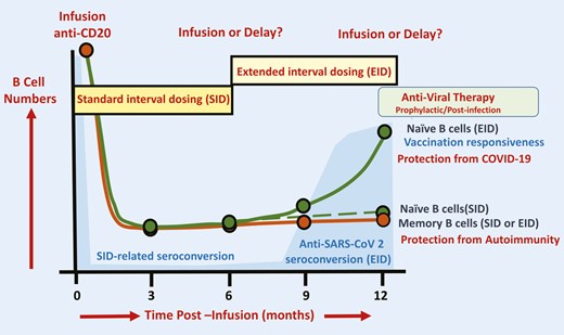 Review | Seroconversion following #COVID19 #vaccination: can we optimize protective response in CD20-treated individuals?

👏 David Baker, Amy MacDougall, @AngrayKang <a href="/KlausSchmierer/">Klaus Schmierer</a> @GavinGiovannoni &amp; <a href="/drruthdobson/">Ruth Dobson</a>

Free access: bit.ly/3PclPKF