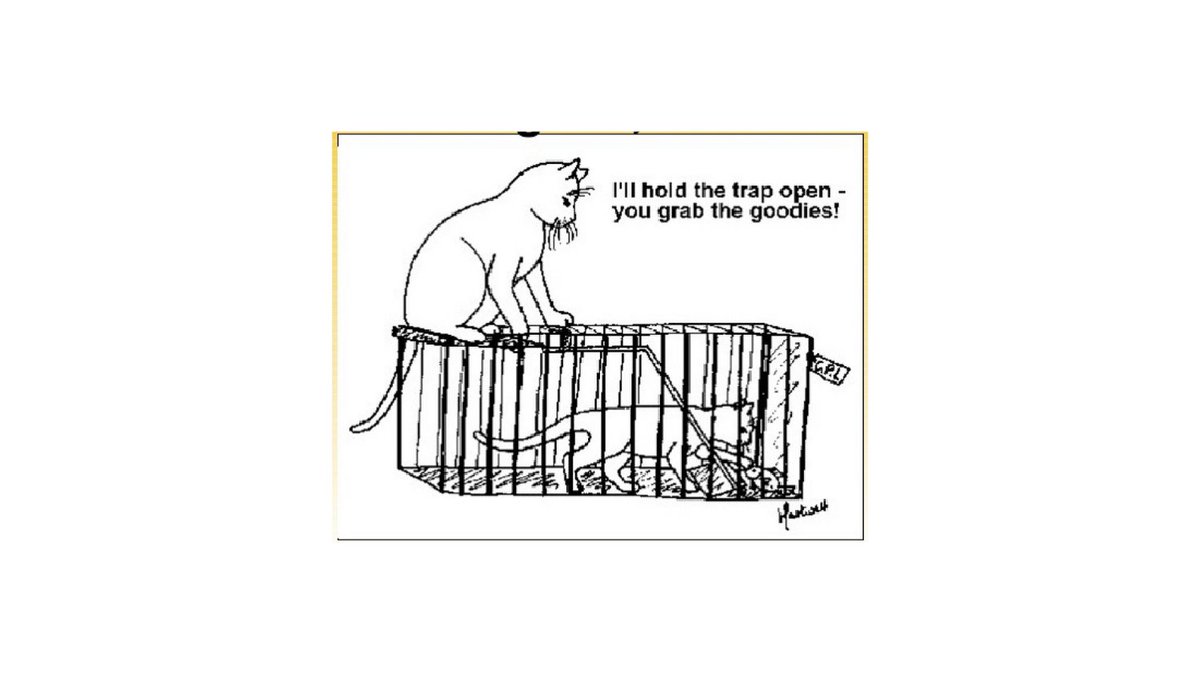Friday Funny! It's an oldie but such a goodie! 😸
 #feralcats #TNR