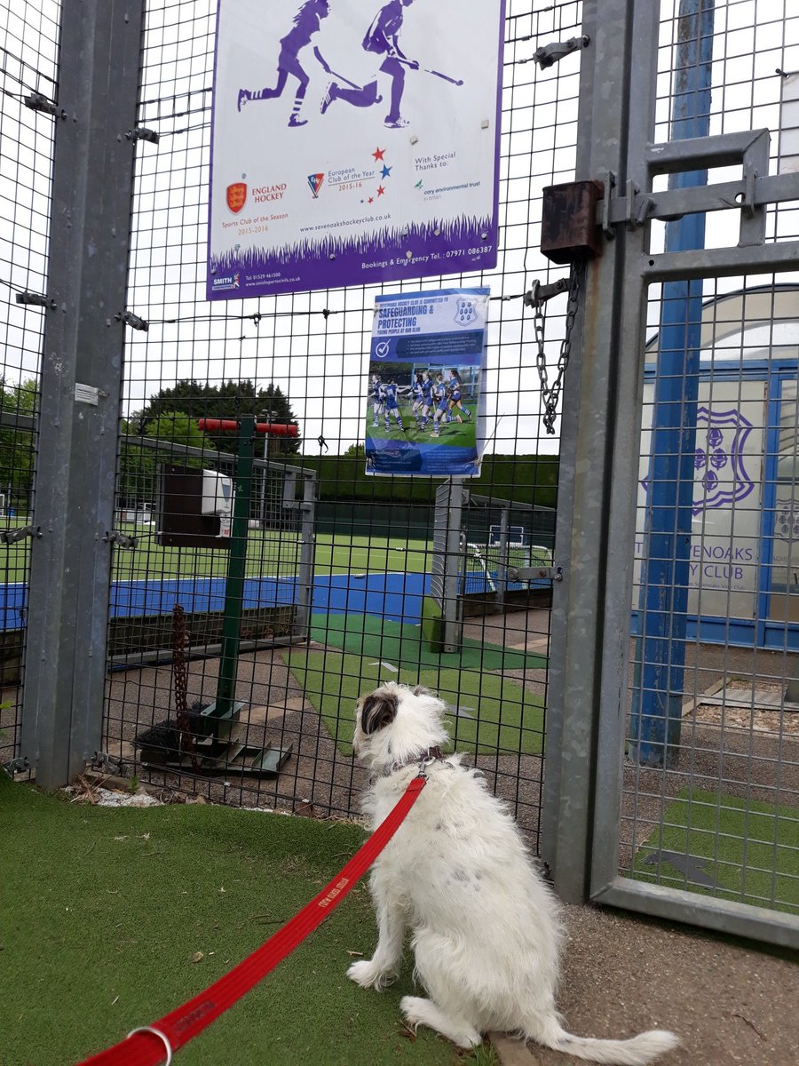 BucklandAl's tweet image. Someone is sulking that the season has ended!😆💜 #whereiseveryone
@SevenoaksHC