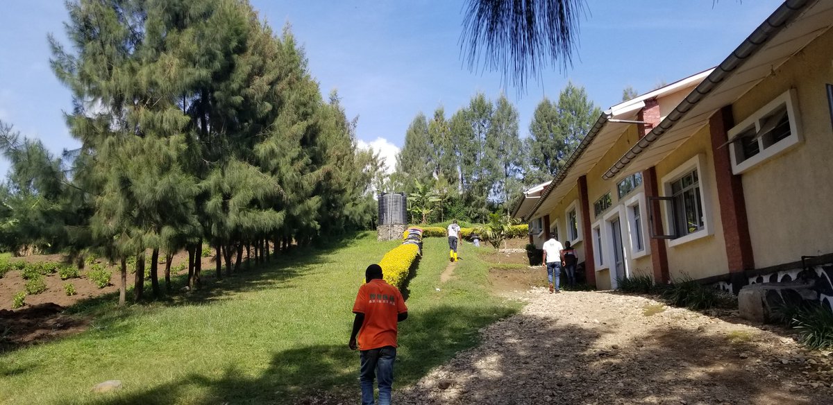 Ⓜ️arline 🅱️ Zani🇨🇩 tweet media