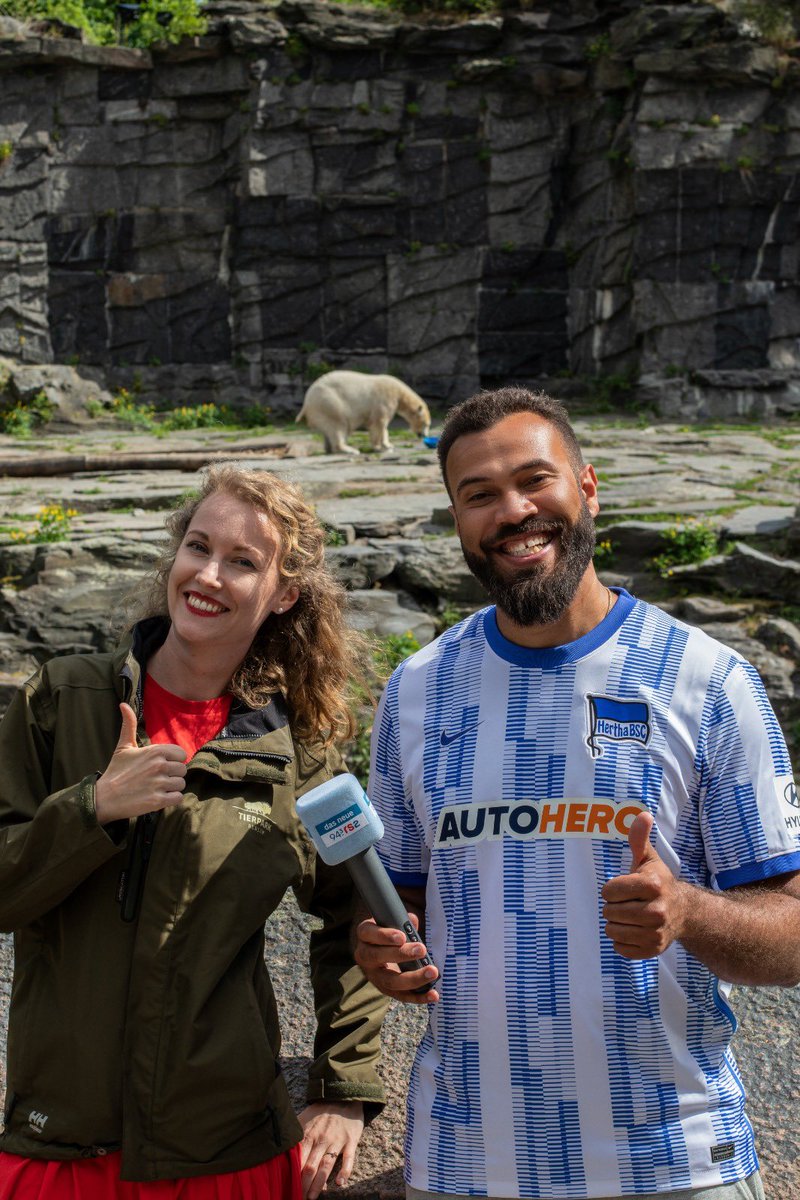 #Hertha macht’s! Wissen wir schon vorm Spiel #BVBBSC. Eisbärendame Hertha aus dem @TierparkBerlin hat für den Radiosender 94,3 rs2 Orakel gespielt. Hertha futtert die blaue Schale leer und nicht die gelbe - Klassenerhalt ist damit sicher! #hahohe <a href="/HerthaBSC/">Hertha BSC</a> #GemeinsamHertha