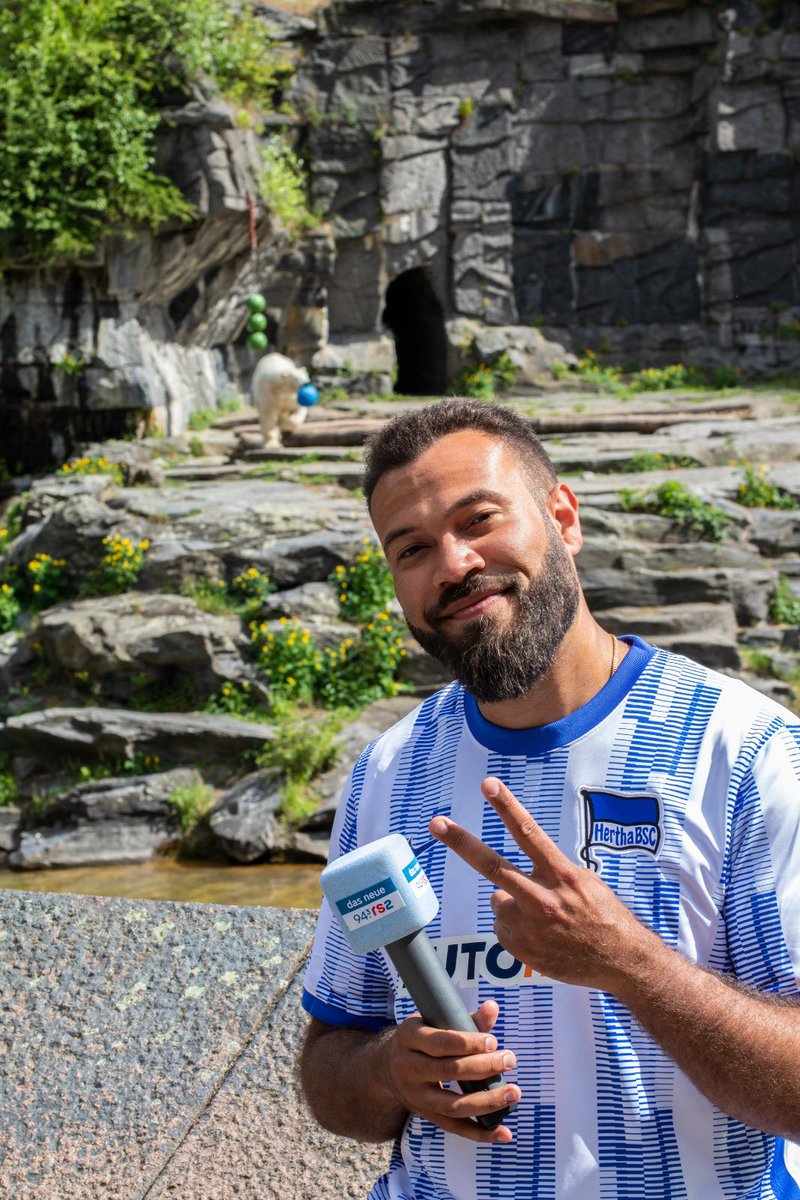 MedienzentrumB's tweet photo. #Hertha macht’s! Wissen wir schon vorm Spiel #BVBBSC. Eisbärendame Hertha aus dem @TierparkBerlin hat für den Radiosender 94,3 rs2 Orakel gespielt. Hertha futtert die blaue Schale leer und nicht die gelbe - Klassenerhalt ist damit sicher! #hahohe @HerthaBSC #GemeinsamHertha https://t.co/UqstTFyCHv