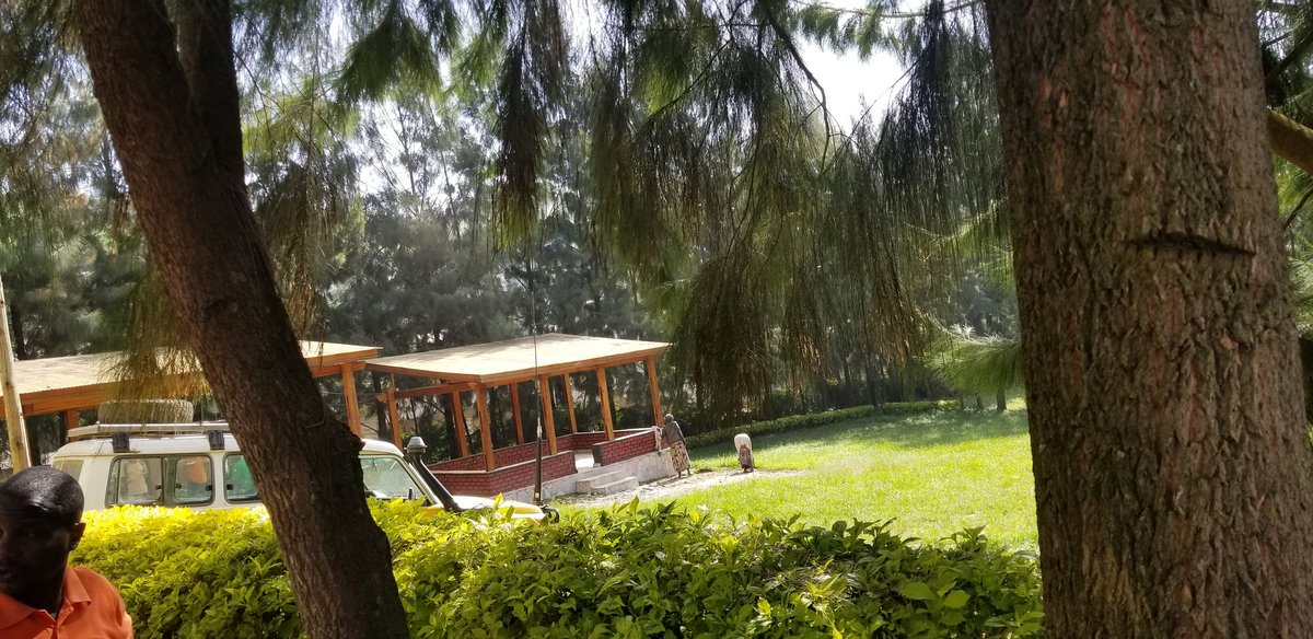 Ⓜ️arline 🅱️ Zani🇨🇩 tweet media