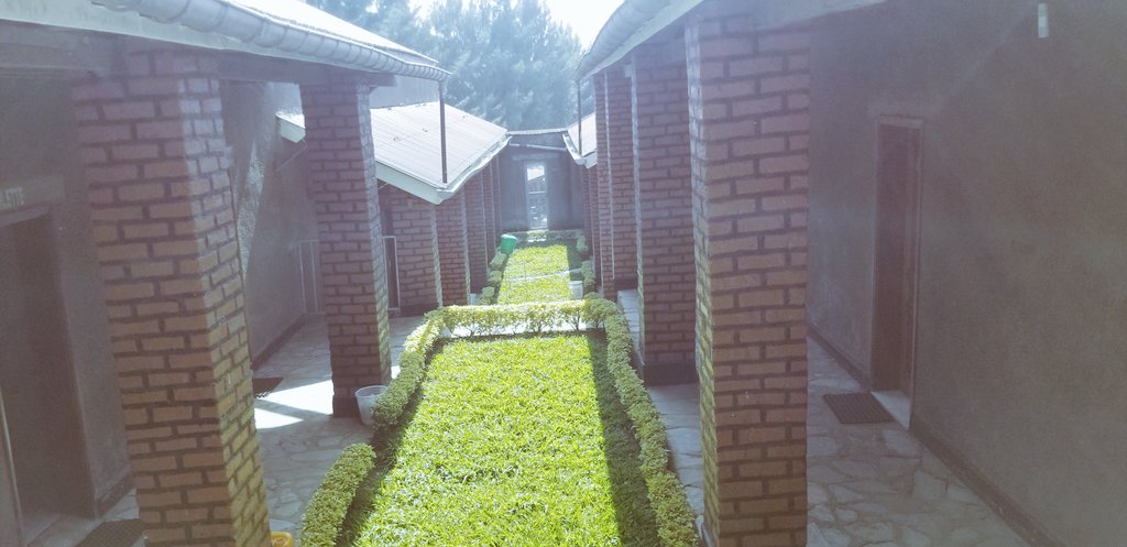 Ⓜ️arline 🅱️ Zani🇨🇩 tweet media