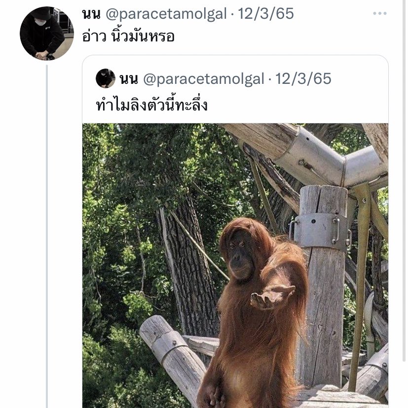 มึง 5555555555555555555