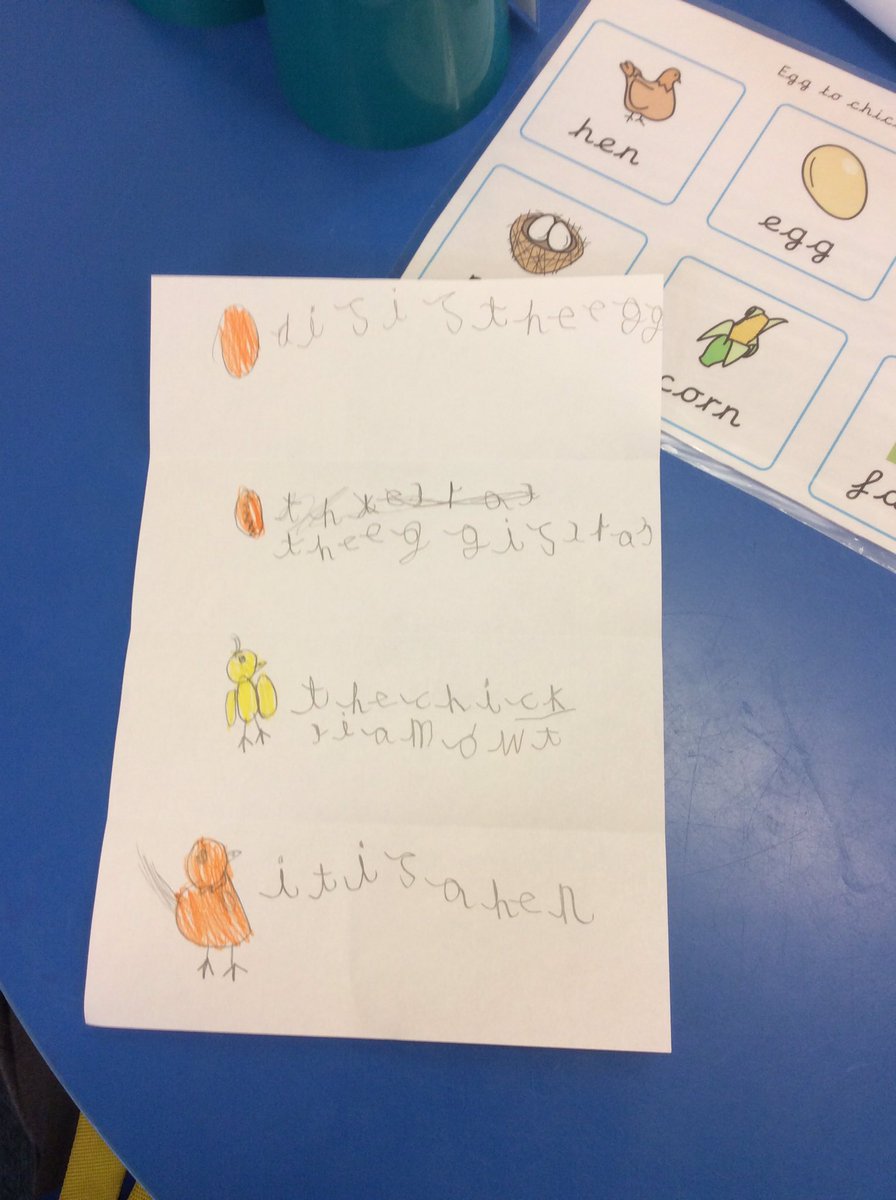 DahlAlt_HT's tweet photo. Wow we have so many fluffy chicks now. The children are full of awe and wonder and have been asking lots of questions. #eyfs #chicks #gld @Alt_HT  #writers https://t.co/1o8aQCTS5F