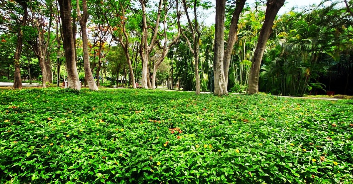 gauravmibm's tweet image. It is the #teamontheground that works with the #vision #tomakethingshappen &amp;amp; #leadership works by #enabling &amp;amp; #empowering them...

Together it becomes a #success 

#leadershiplessonsfromnature 
#teamworkmakesadreamwork 
#leadershipmatters 
#natureateacher 
#infycampus 
#wfo