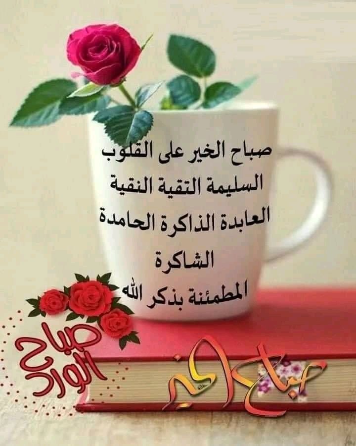 tajwrd (@d96c3efa180c40d) on Twitter photo 