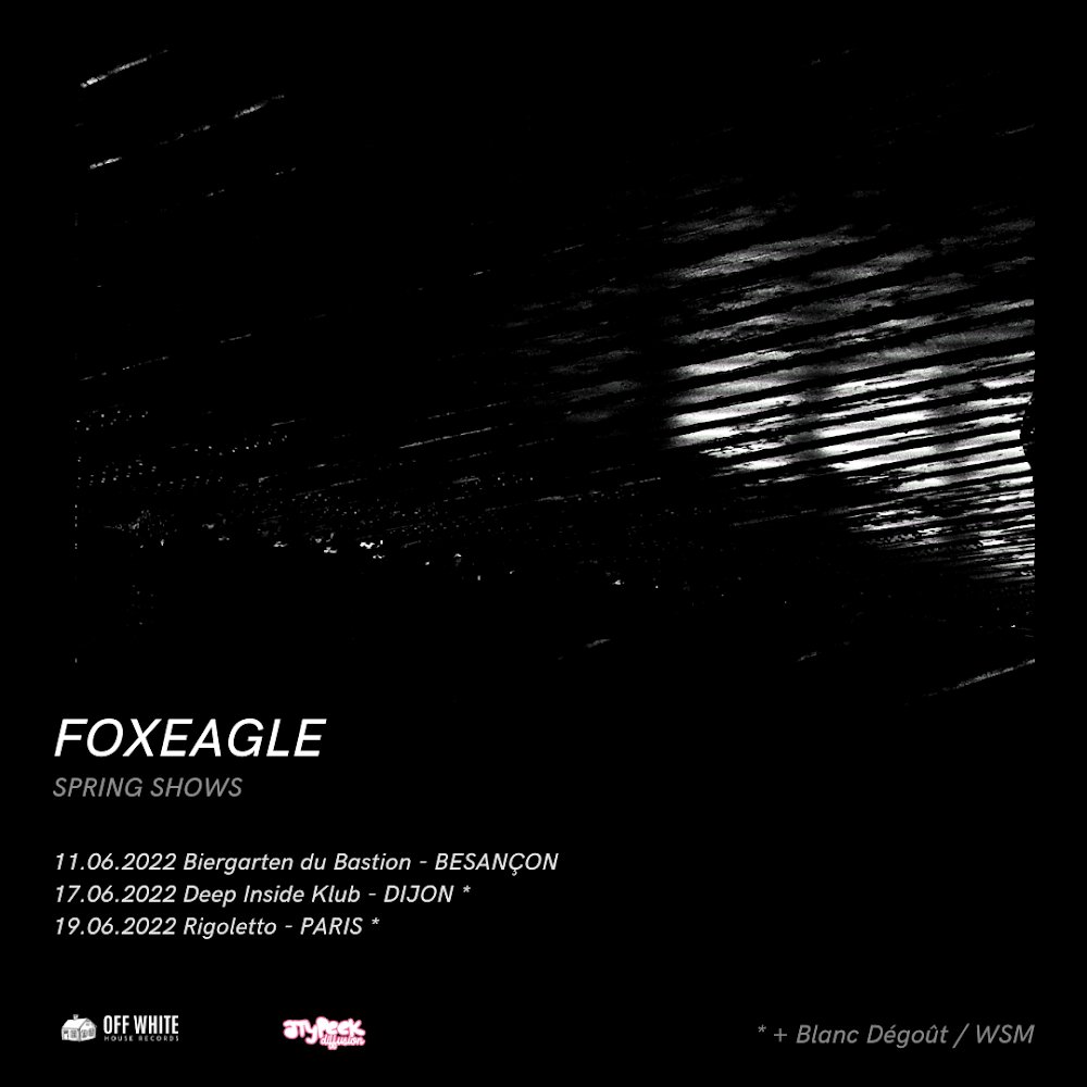 Foxeagle tweet media