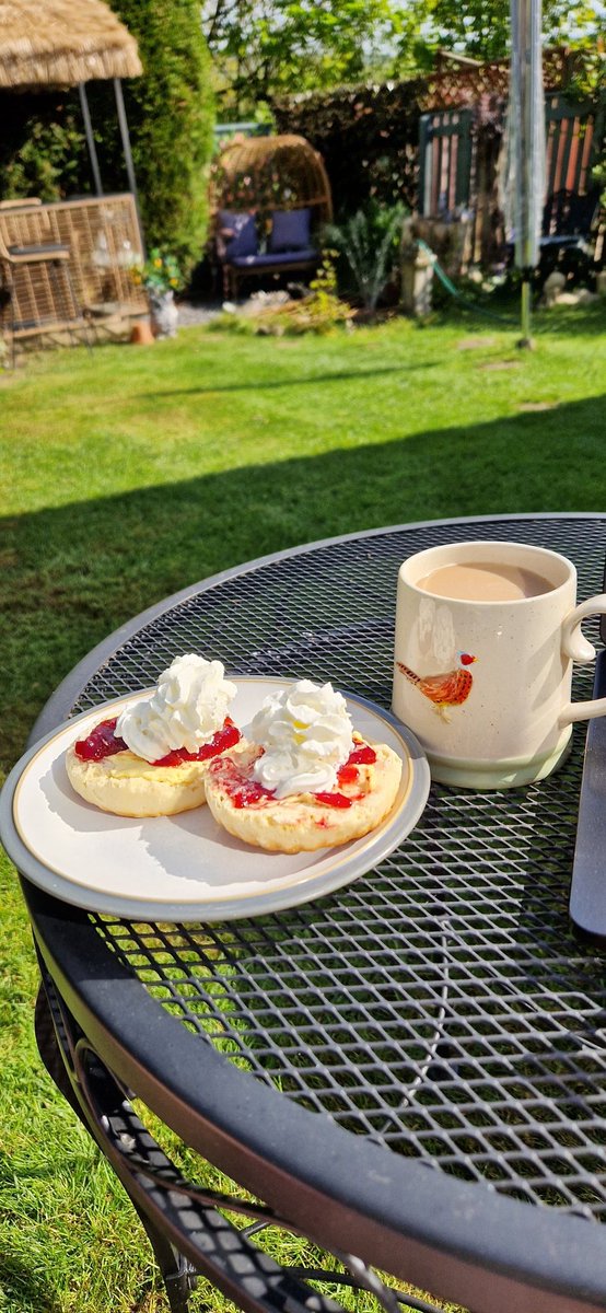 LordSmythe's tweet image. Lawns mowed #Rewards #tenoclock #scones #cuppa #SmytheMansions