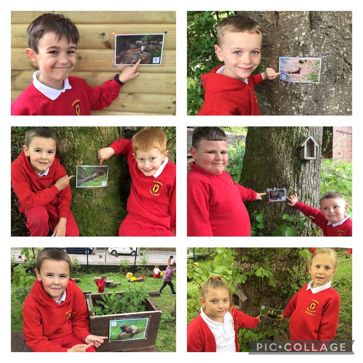 GPSMrsLEvans tweet media