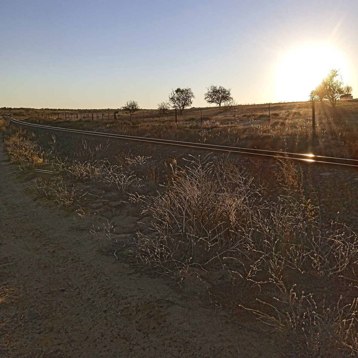 zouteriver's tweet photo. Morning run at sunrise on the outskirts of town. 

#hopefield #westcoast #capewestcoast #trailrunning https://t.co/9pT50iIexl
