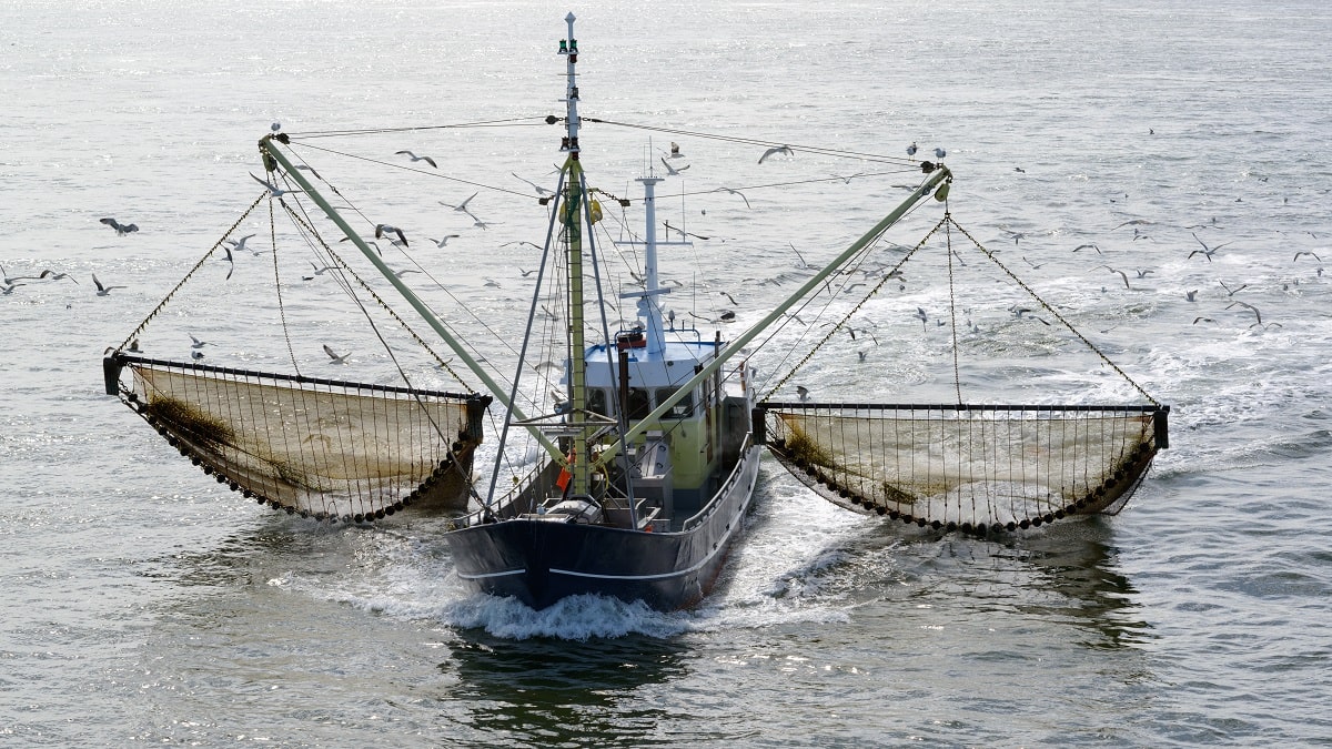 UNCTADTrade's tweet photo. Fisheries subsidies are estimated to be as high as $35 billion worldwide, and $20 billion directly contributes to overfishing. 🎣

As negotiations ramp up at the @wto for Fish Week, here's why we need a fisheries subsidies deal and how we can do it.▶️ https://t.co/L3AdIE5rSq https://t.co/8kTGA87BRo