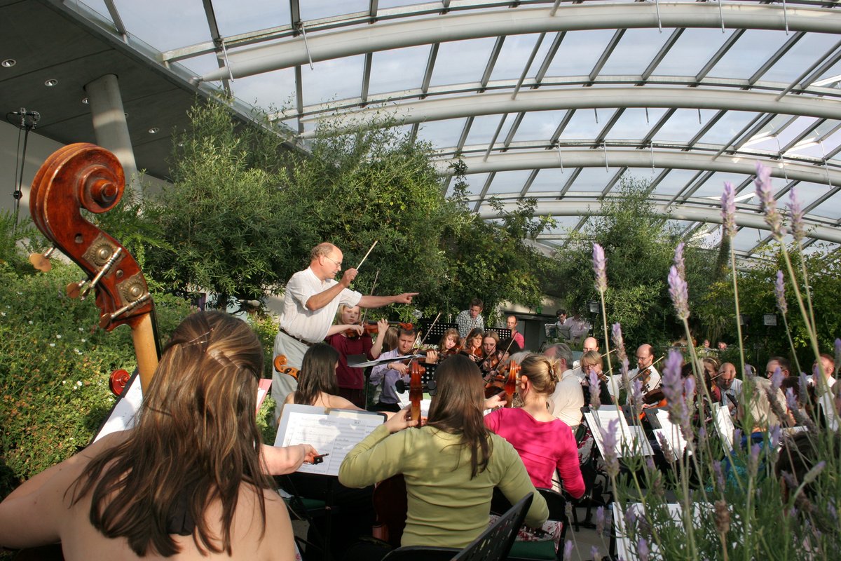 walesbotanic's tweet photo. Mae thema deuluol i’r #Cyngerdd #Haf eleni yng Ngardd Fotaneg.

Yn y tŷ gwydr un bwa mwyaf yn y byd – bydd 55 aelod o Symphonica Tywi yn dechrau tiwnio am 7.30yp ac yn parhau nes iddi nosi.

Mehefin 18 - https://t.co/GJ8BUopnLp

#cerddoriaeth https://t.co/AWrheTemr9