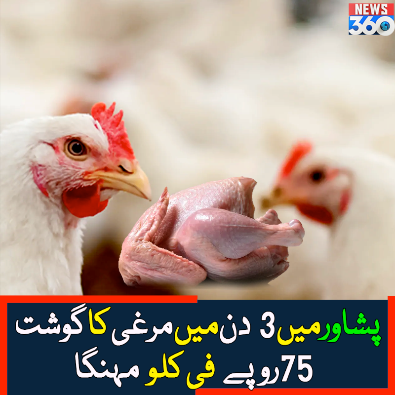 officialnews360's tweet photo. مرغی کی قیمت 300روپے سے تجاوز کرگئی، ماہرین نے مرغیوں میں پھیلنے والی بیماریوں، پیداوار میں کمی اور کرایوں میں اضافے کو قیمتوں میں اضافے کی وجہ قرار دیدیا
#Peshawar #peshawarcity #ChickenRates