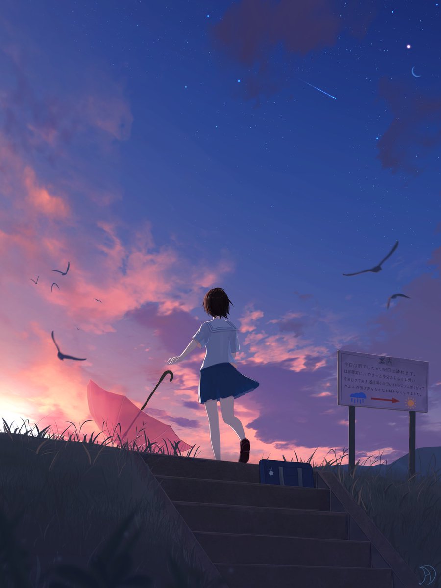 1girl sky solo bird outdoors skirt scenery  illustration images