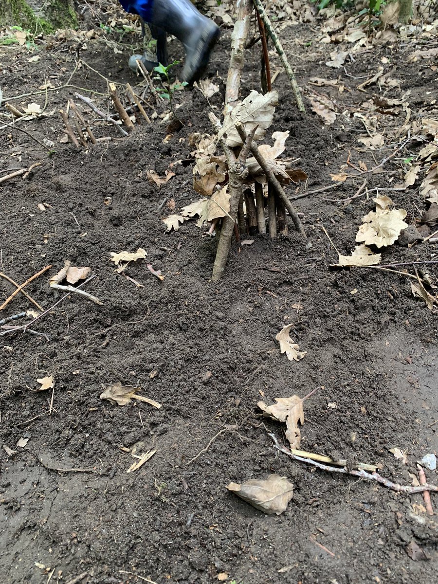 fletcher_fs's tweet photo. @wild_bank @TrustVictorious foundation stage have been really busy making houses for the little people in our forest this morning. The children have really bought into the idea of the little people who live in our forest https://t.co/c7eHpURjhP