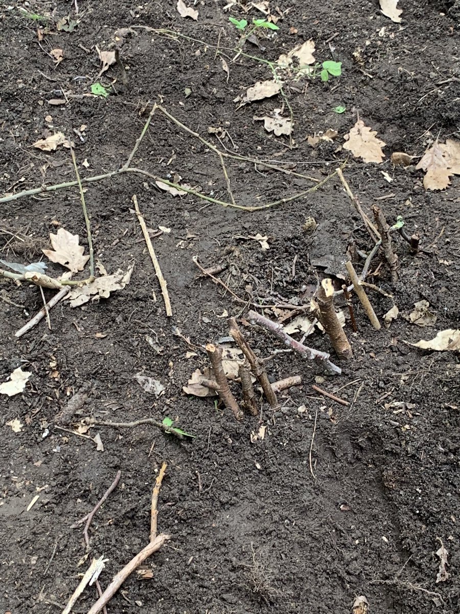 fletcher_fs's tweet photo. @wild_bank @TrustVictorious foundation stage have been really busy making houses for the little people in our forest this morning. The children have really bought into the idea of the little people who live in our forest https://t.co/c7eHpURjhP
