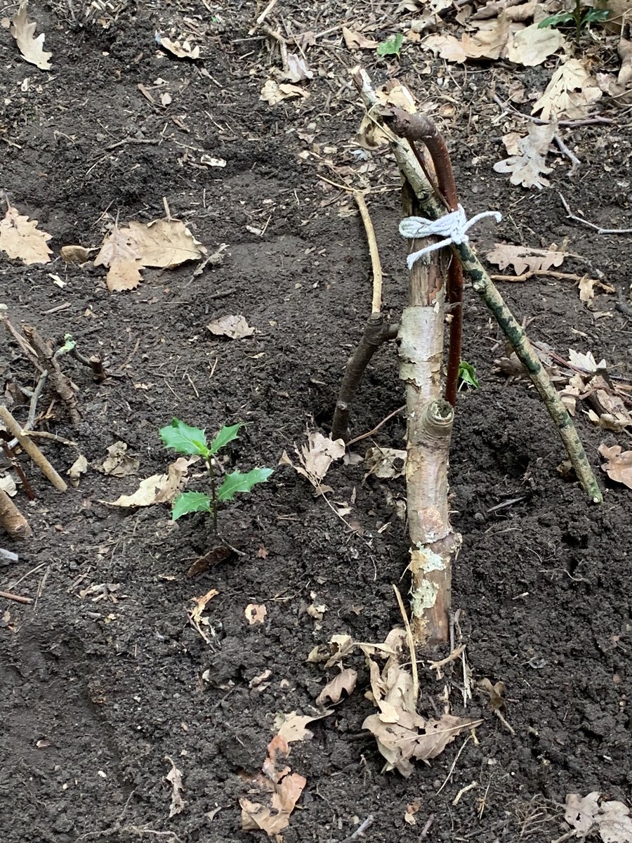 fletcher_fs's tweet photo. @wild_bank @TrustVictorious foundation stage have been really busy making houses for the little people in our forest this morning. The children have really bought into the idea of the little people who live in our forest https://t.co/c7eHpURjhP