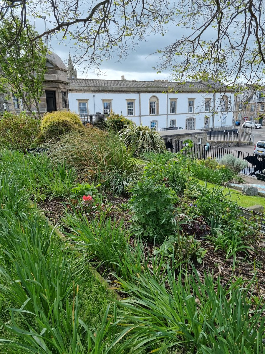 discovercullen's tweet photo. Cullen's Millennium Garden is the perfect spot for a picnic or to eat your ice cream from the ice cream shop.

Lovingly Cared for by volunteers.

https://t.co/U4Dhq5fBf4 
#MillenniumGarden #MilleniumProject #cullen #discovercullen #morayspeyside #visitscotland #scotland https://t.co/Yk9oYEdA3Q