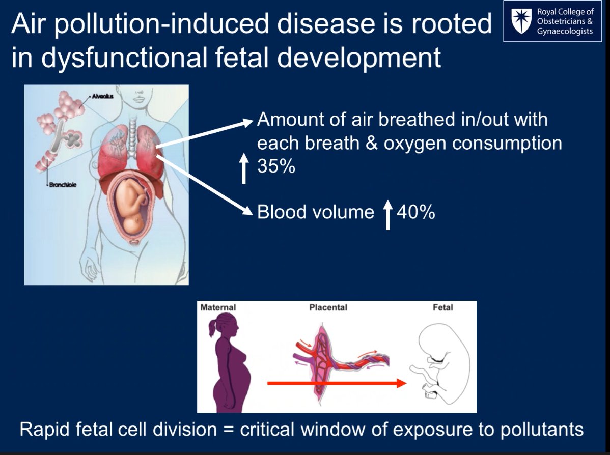 globalhlthtwit's tweet photo. Dr Victoria Bills, fetal medicine specialist, explained why  exposure to air pollution in pregnancy is dangerous (5) https://t.co/WwkjDHxKis