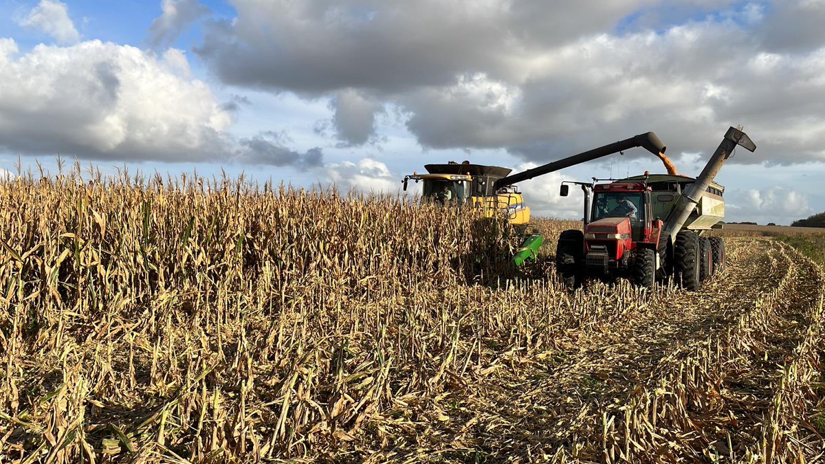 Ing Agr Andres Alayon🚜🚜🚜🚜🚜 🌽🌽🌽🌽🌽 tweet media