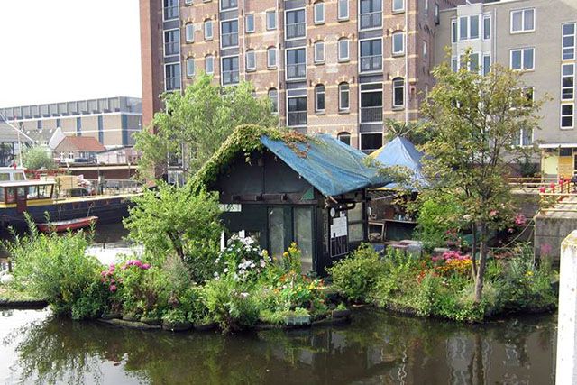 ton denters tweet media