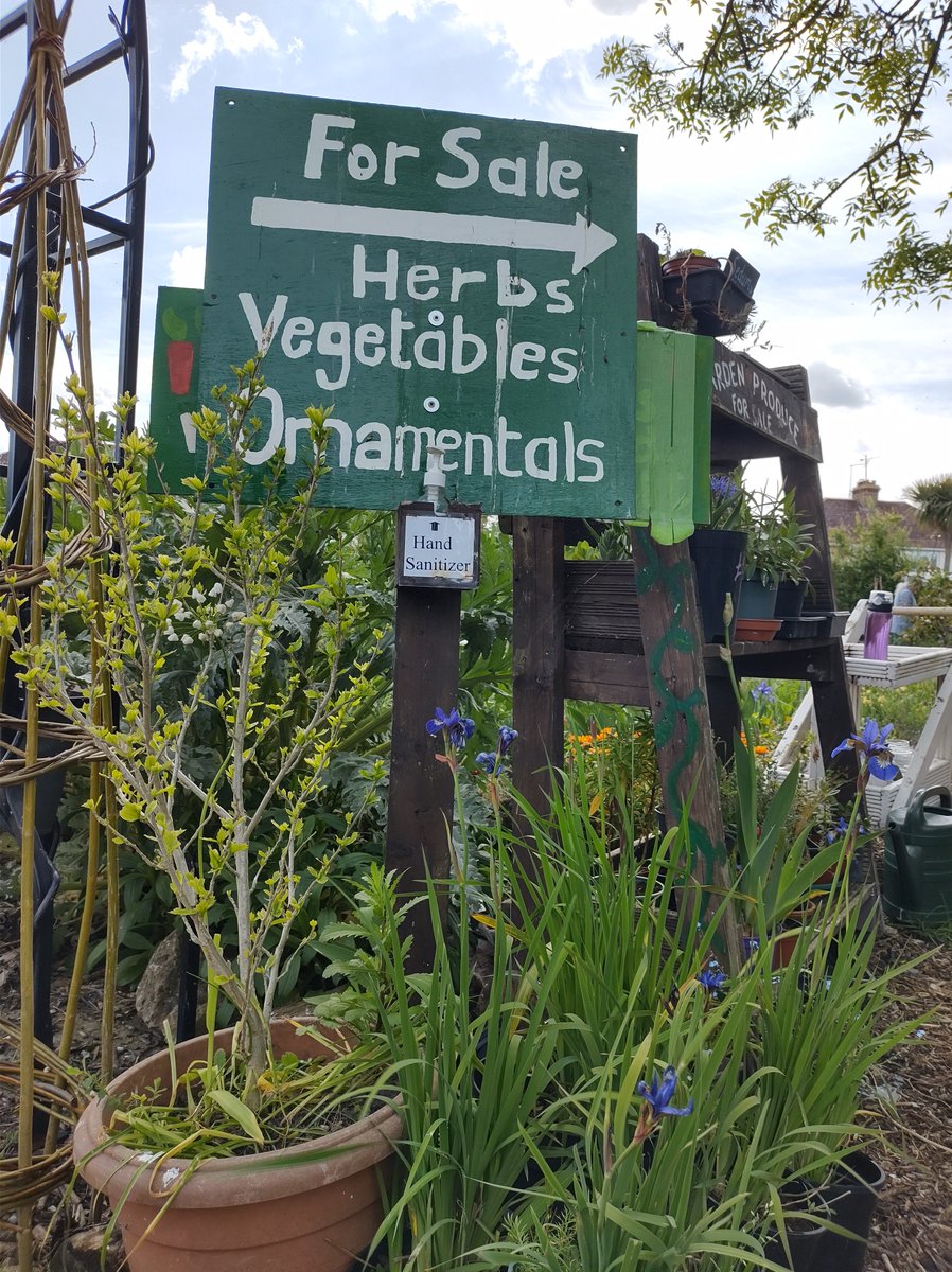 Thanks to all the wonderful volunteers at Stream Walk Community Garden, lots of plants for sale tomorrow Sat 14th 10am - 1pm, all grown without chemicals, and peat-free, unlike many of the imported ones at the garden centre!