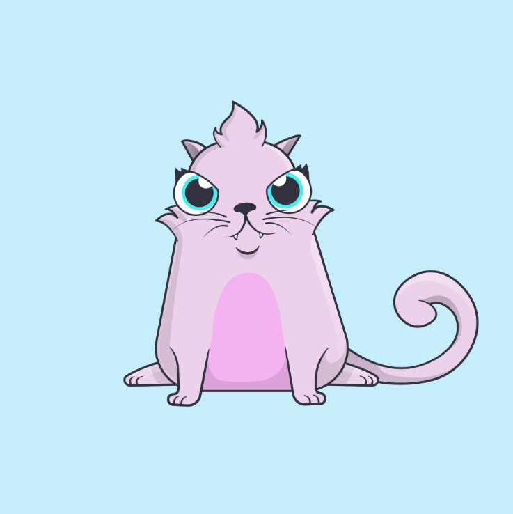 KittiesNice's tweet photo. @swervice_ I agree!, bullish on @CryptoKitties the OG https://t.co/Q9iTCW27ax