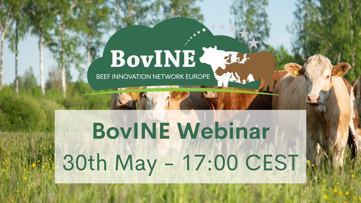 bovine_eu's tweet photo. Join BovINE for our next webinar focusing on Autofeed - Automatic Feeding Systems, being held 30th May at 5pm CEST
Register here: https://t.co/8WAujAUhgO
#webinar #beefcattle #autofeed #bovine https://t.co/2hLt0CG2V7